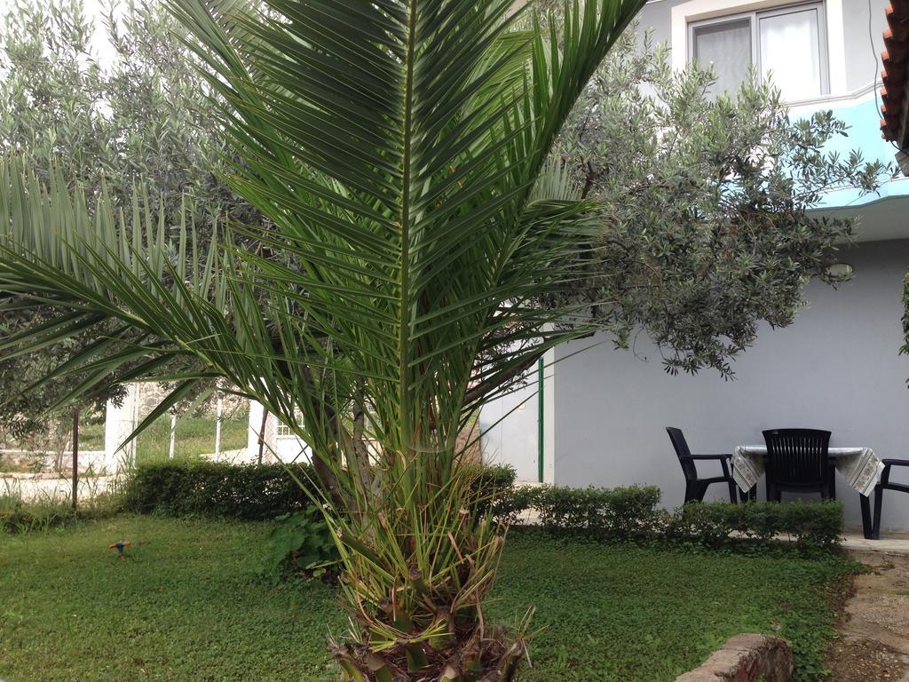 Apartment Caca